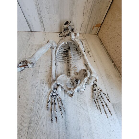 Skeleton AS IS jointed hanging Halloween home decor prop scary - Picture 5 of 15